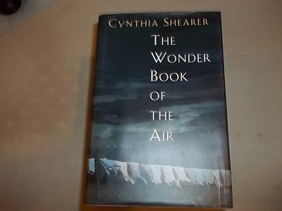 The Wonder Book of Air: A novel