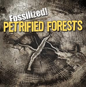 Petrified Forests by Kathleen Connors