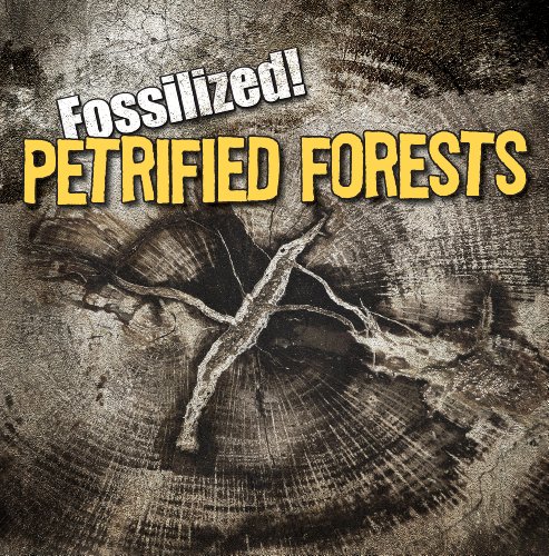 Petrified Forests by Kathleen Connors