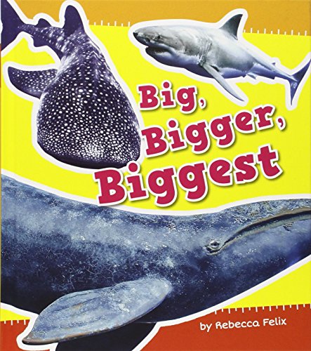 Big, Bigger, Biggest by Rebecca Felix
