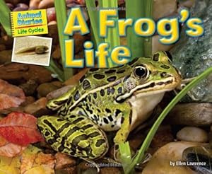 A Frog's Life