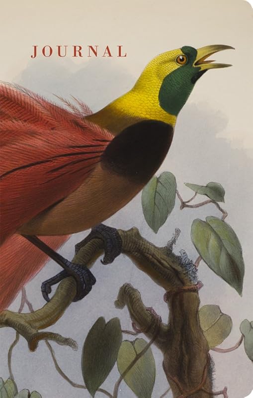 Natural Histories Journal: Bird by American Museum of Natural History