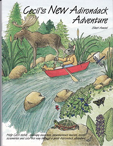 Cecil's New Adirondack Adventure by Sheri Amsel