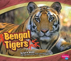Bengal Tigers
