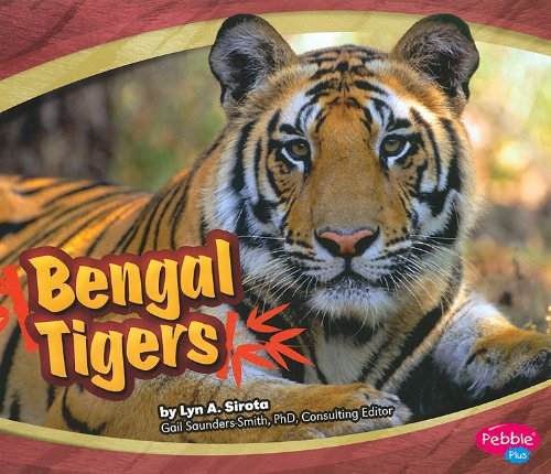 Bengal Tigers by Lyn A. Sirota