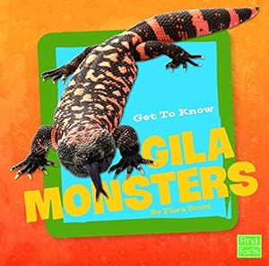 Get to Know Gila Monsters