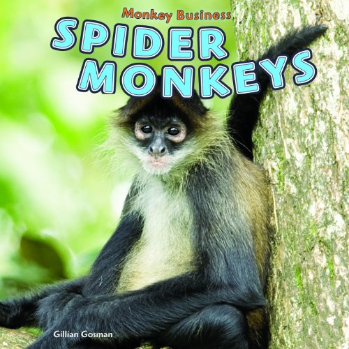 Spider Monkeys by Gillian Gosman
