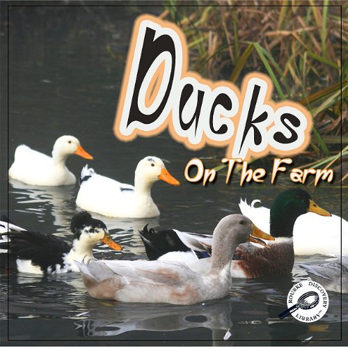 Ducks on the Farm by Kyla Steinkraus