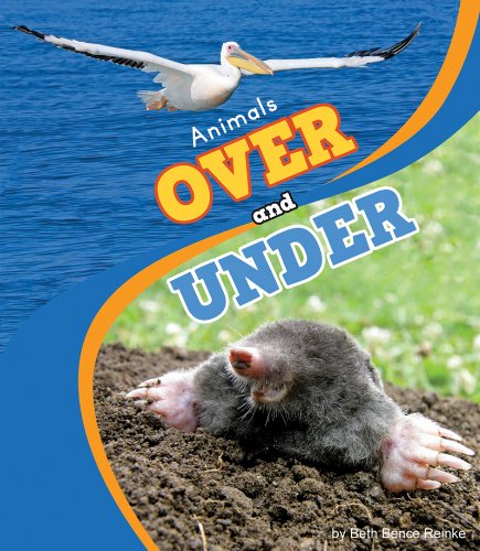 Animals over and Under by Beth Bence Reinke