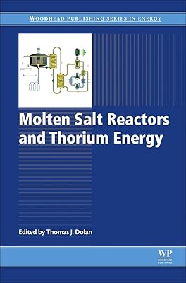 Molten Salt Reactors and Thorium Energy (Woodhead Publishing Series in Energy)