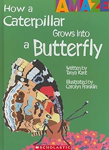 How a Caterpillar Grows Into a Butterfly (Amaze) (Library Edition)