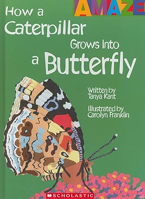 How a Caterpillar Grows Into a Butterfly (Amaze) (Library Edition)