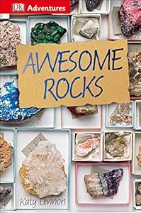 DK Adventures: Awesome Rocks