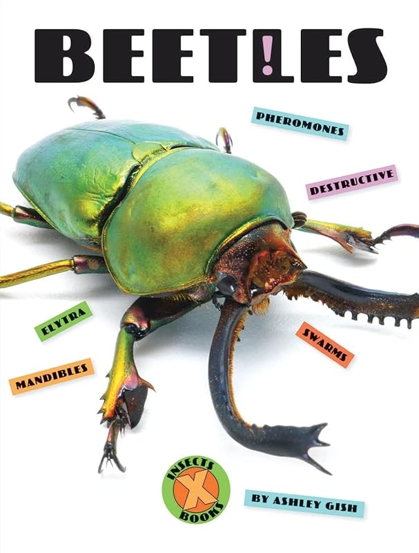 Beetles by Ashley Gish