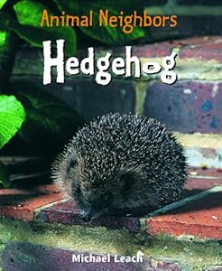 Hedgehog
