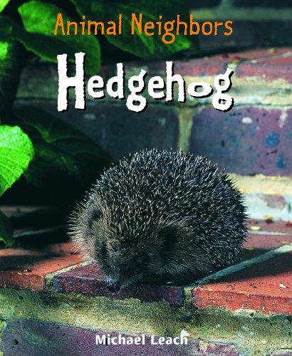 Hedgehog by Michael Leach