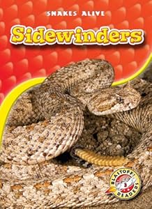 Sidewinders