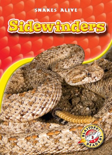 Sidewinders by Colleen Sexton
