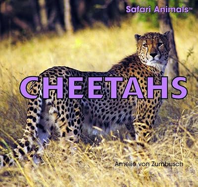 Cheetahs (Safari Animals)