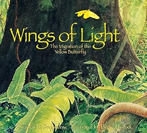 Wings of Light