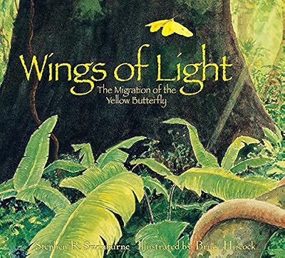 Wings of Light