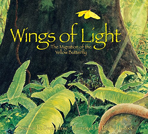Wings of Light by stephen r. swinburne