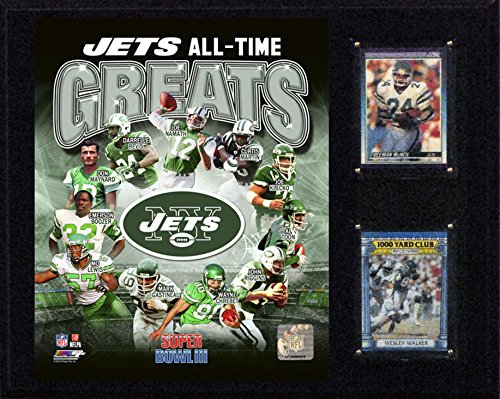 Algopix Similar Product 3 - CI Collectables NFL New York Jets
