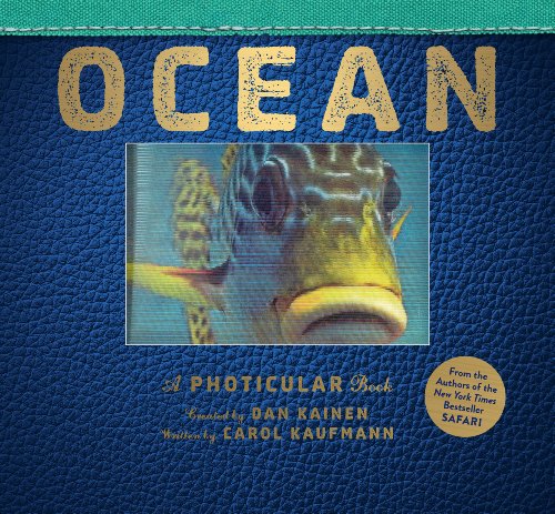 Ocean: A Photicular Book by Dan Kainen