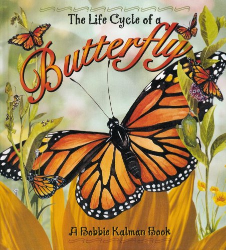 The Life Cycle of a Butterfly by Bobbie Kalman