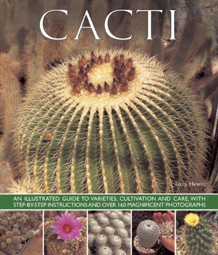 Cacti: An Illustrated Guide To Varieties, Cultivation And Care, With Step-By-Step Instructions And Over 160 Magnificent Photographs by Terry Hewitt