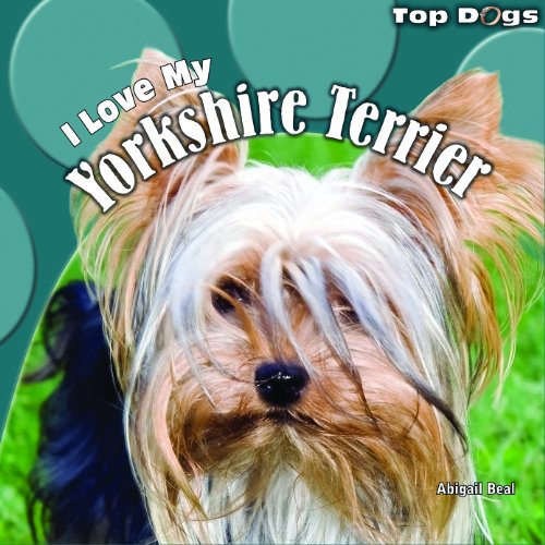 I Love My Yorkshire Terrier by Abigail Beal