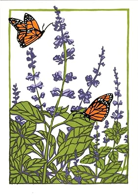 Sweet Basil: Boxed Set of 6 Cards