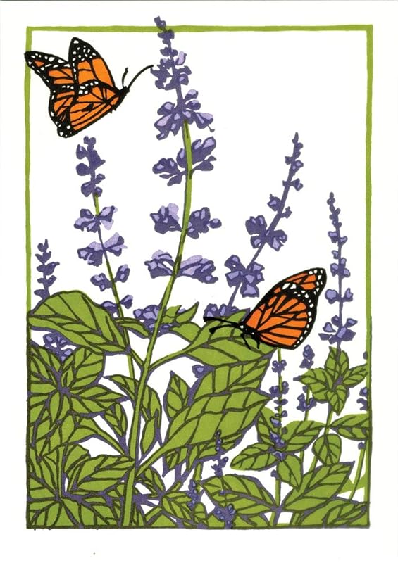 Sweet Basil: Boxed Set of 6 Cards by Bruce Smith