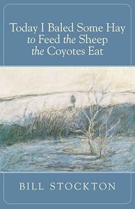 Today I Baled Some Hay to Feed the Sheep the Coyotes Eat by Bill Stockton