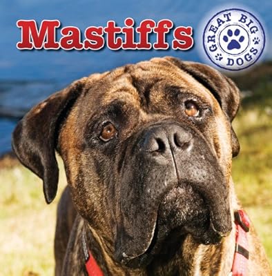 Mastiffs (Dog Mania Great Big Dogs)