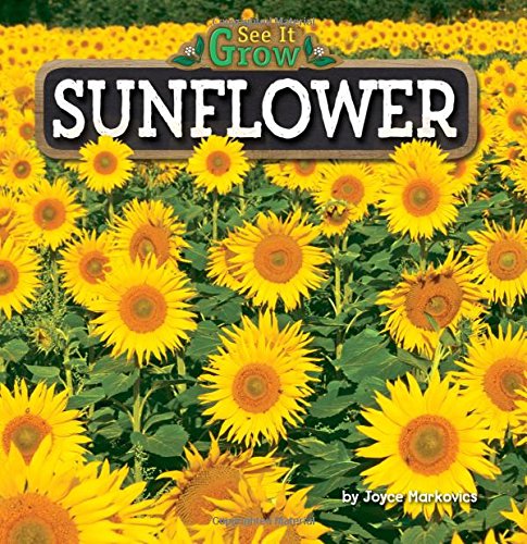 Sunflower by Joyce L Markovics