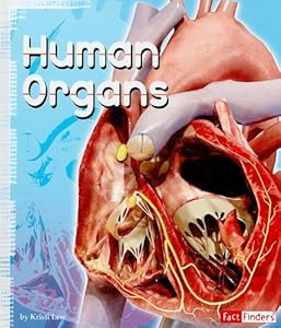 Human Organs