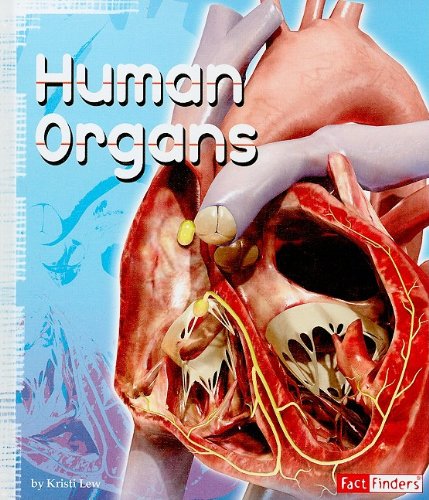 Human Organs by Kristi Lew