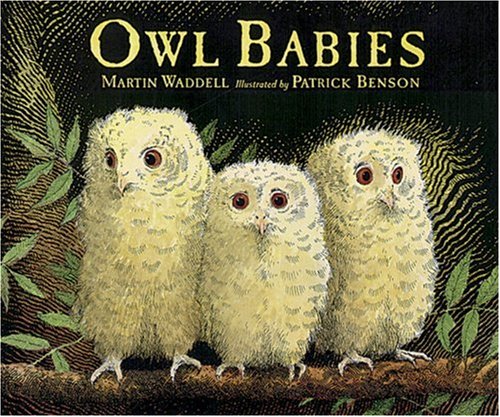 Owl Babies Big Book by Martin Waddell