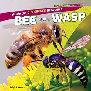Tell Me the Difference Between a Bee and a Wasp