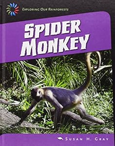 Spider monkey