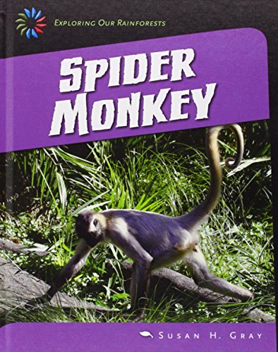 Spider monkey by Susan Heinrichs Gray