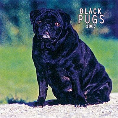 Pugs, Black 2008 Square Wall Calendar (German, French, Spanish and English Edition)