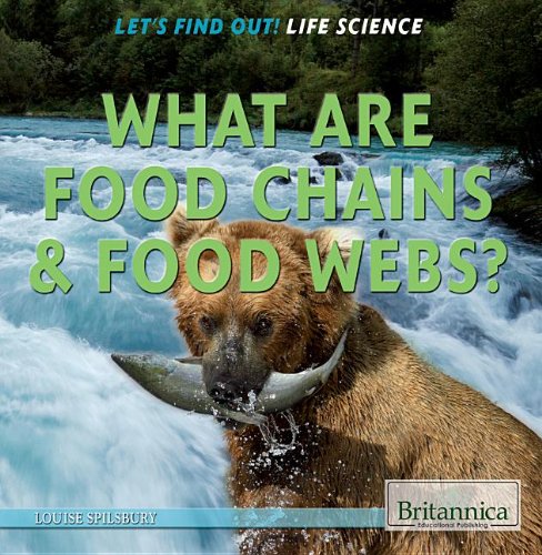 What are food chains & food webs? by Louise Spilsbury