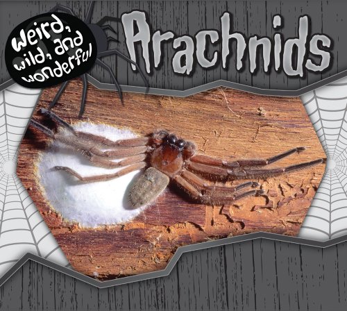 Arachnids by Julie Murphy
