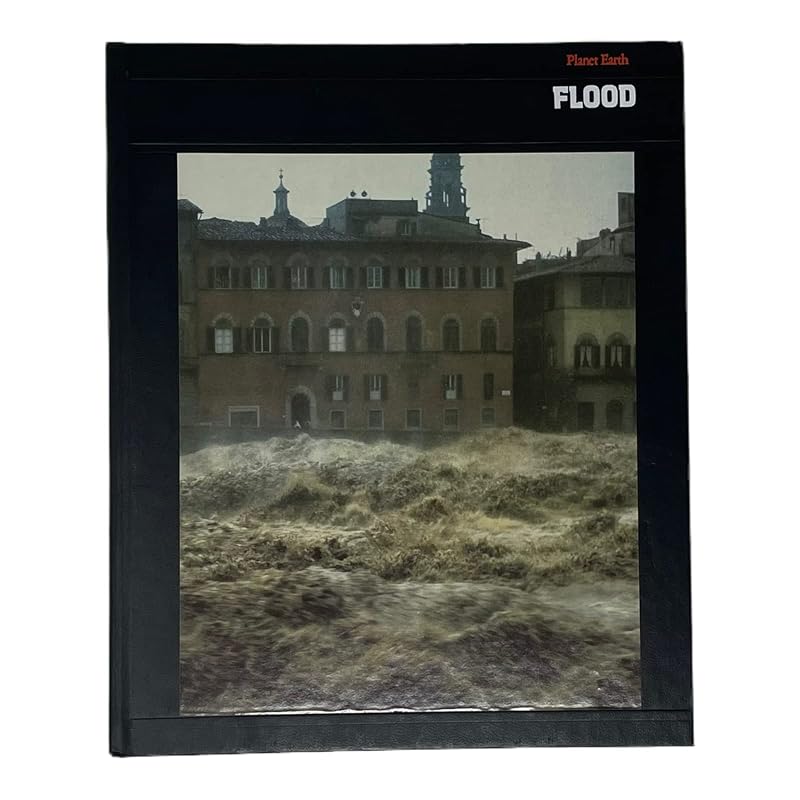 Flood (Planet Earth) by Champ Clark