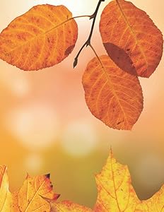 My Favorite Season Journal: 8.5X11" 184 blank lined pages - Autumn/Fall & Harvest themed gift journal for women and men for writing (8.5X11" My Favorite Season Journals)