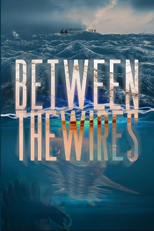 Between The Wires by Rain Aidasani