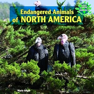 Endangered Animals of North America
