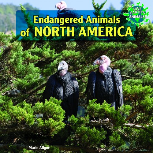Endangered Animals of North America by Marie Allgor